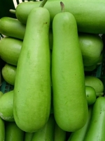Lau / Gourd 