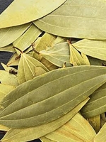 তেজপাতা / Tejpata 