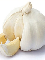 roshun / Garlic 