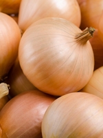 Piaj/Onion  