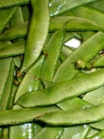 sim / Bean 