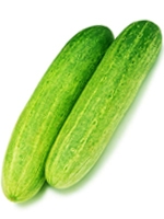 Shosha / Cucumber 